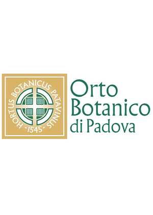 Orto Botanico di Padova – Logo